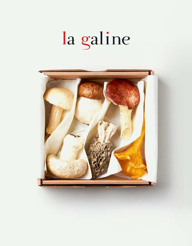 La Galine Cutlery Rests 4type